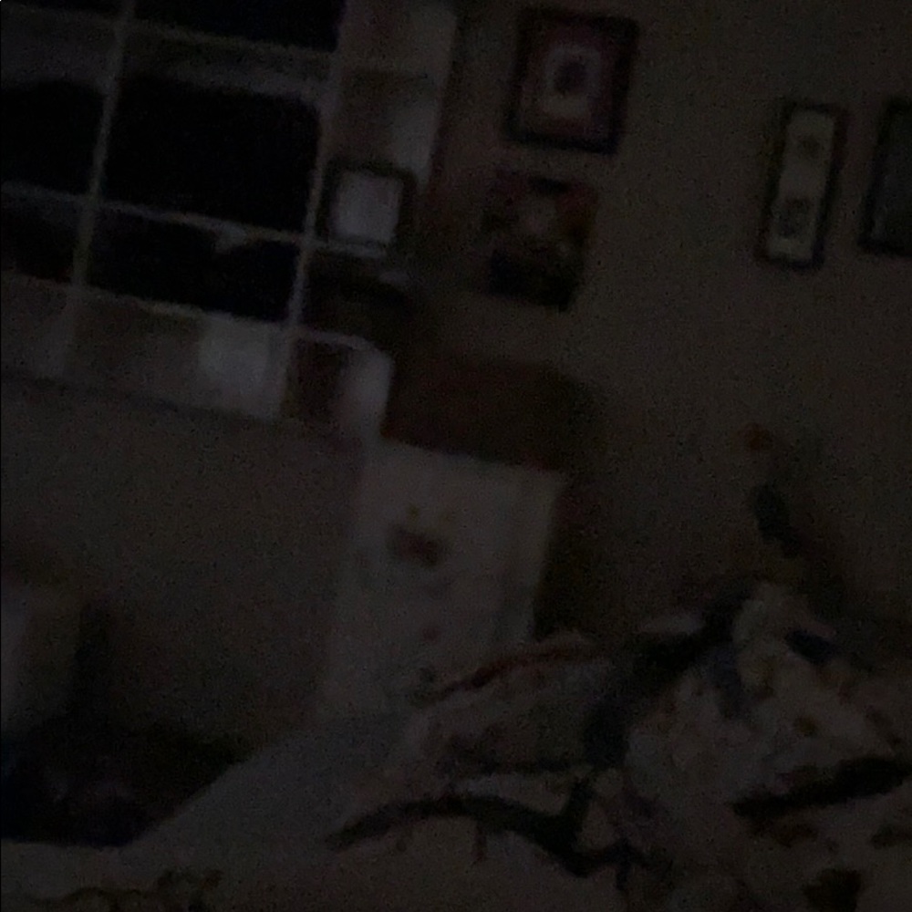 Meet your Posher, Jackie